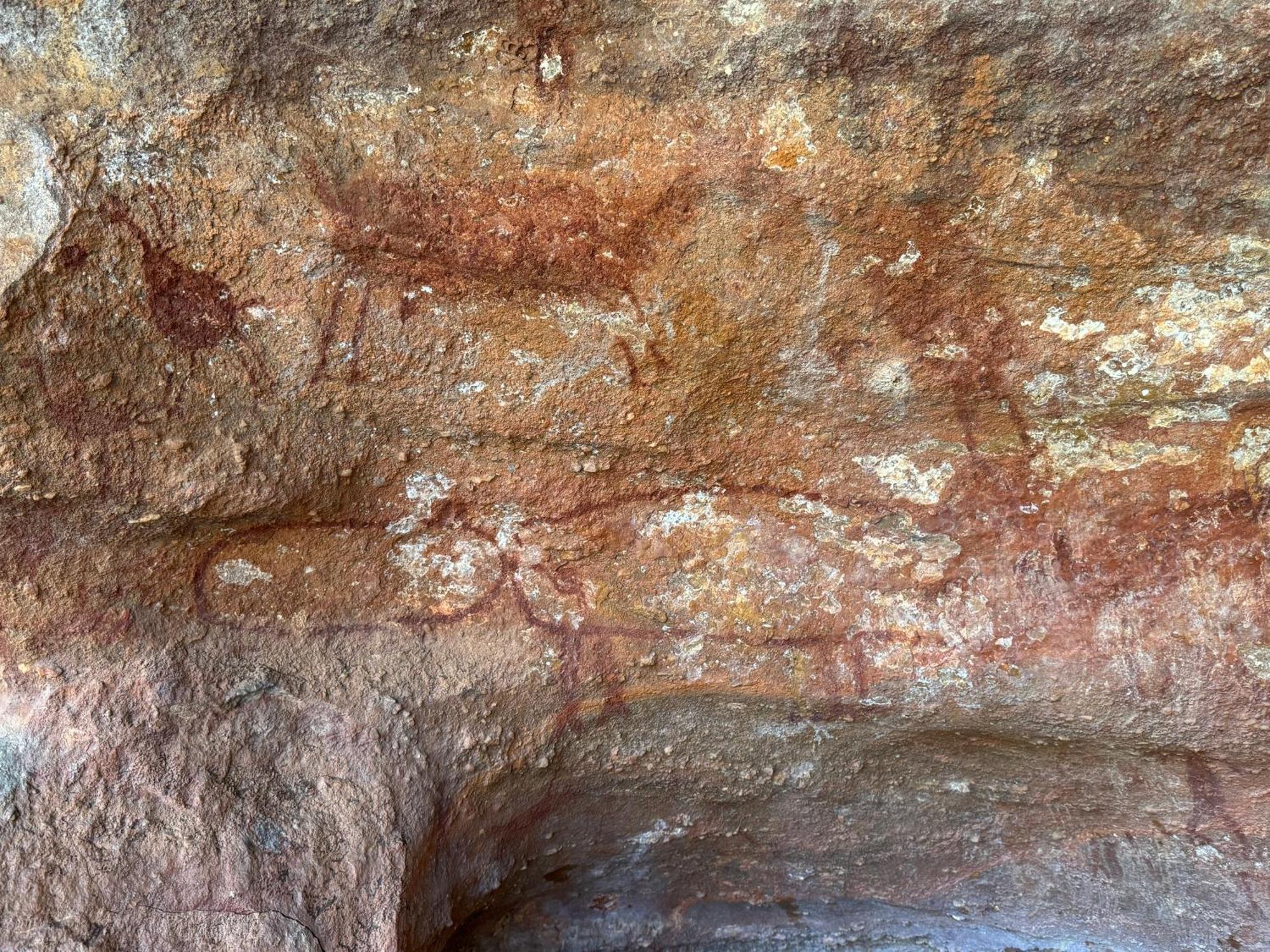 Casa Barreirinho Parque Nacional Serra Da Capivara Coronel Jose Dias 外观 照片