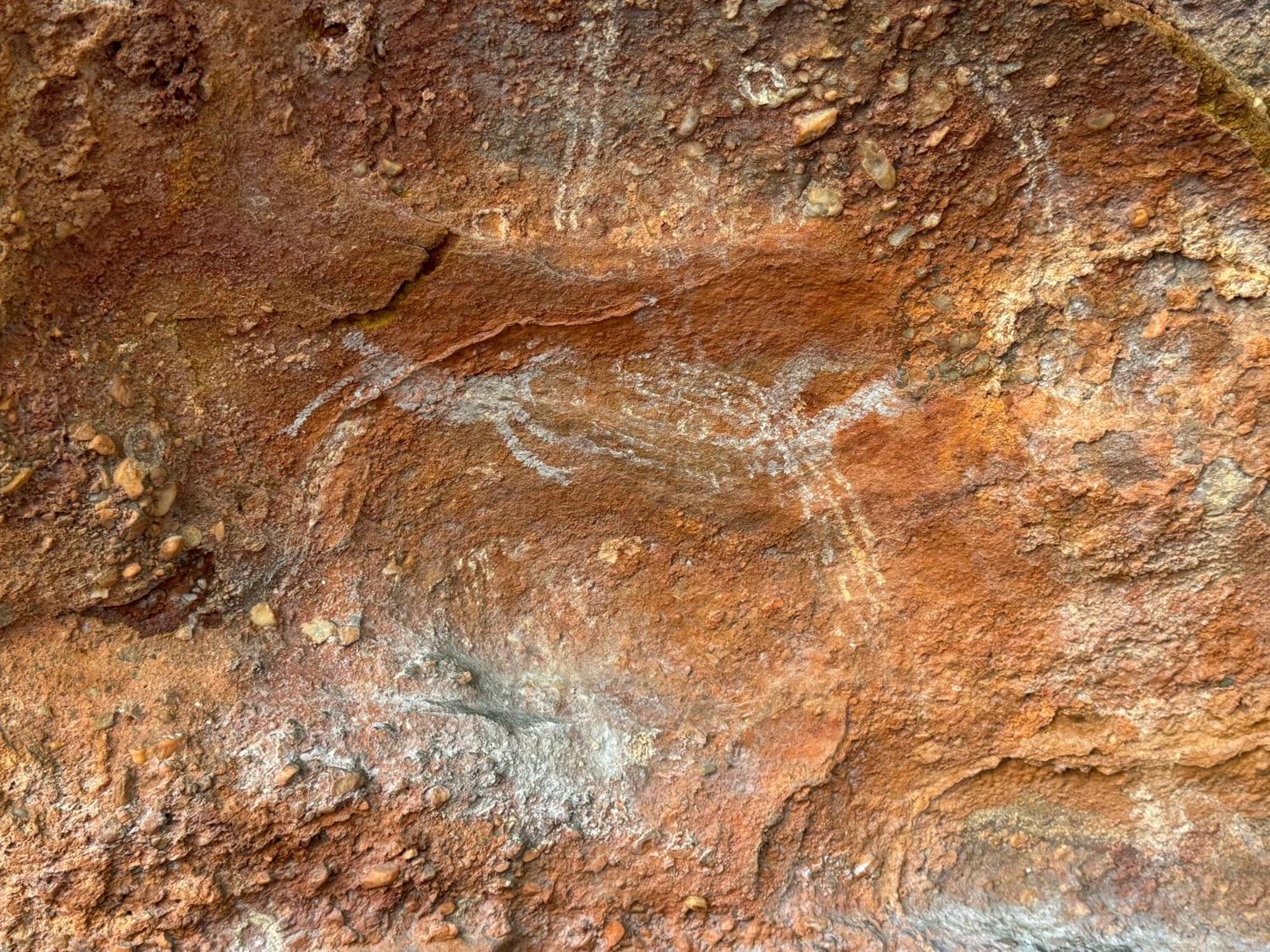 Casa Barreirinho Parque Nacional Serra Da Capivara Coronel Jose Dias 外观 照片