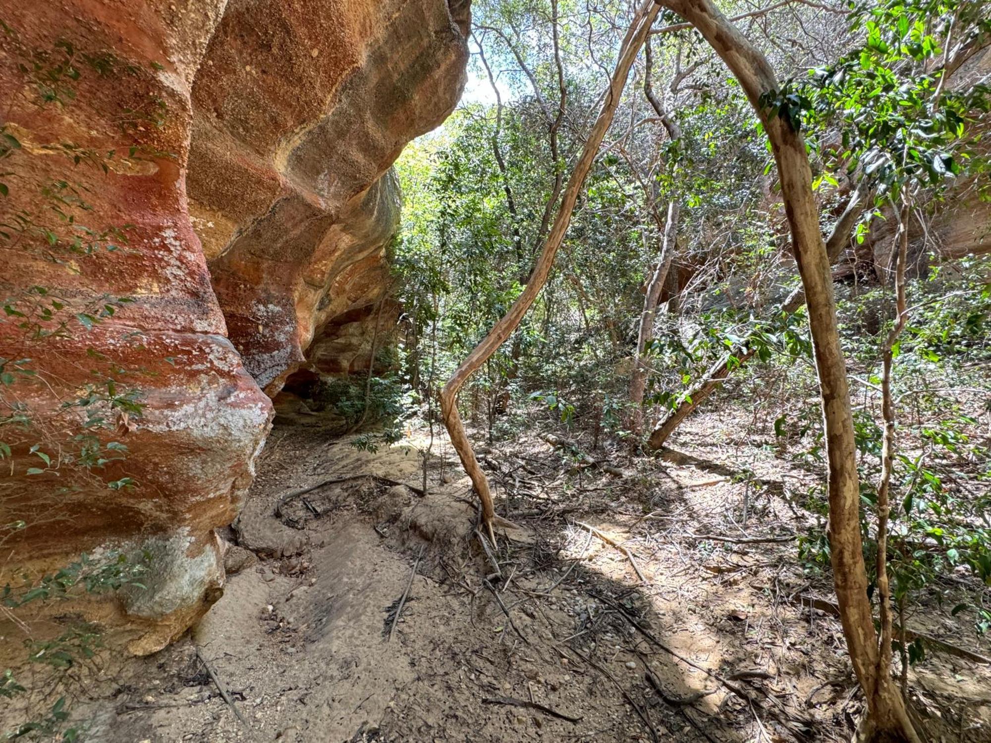 Casa Barreirinho Parque Nacional Serra Da Capivara Coronel Jose Dias 外观 照片