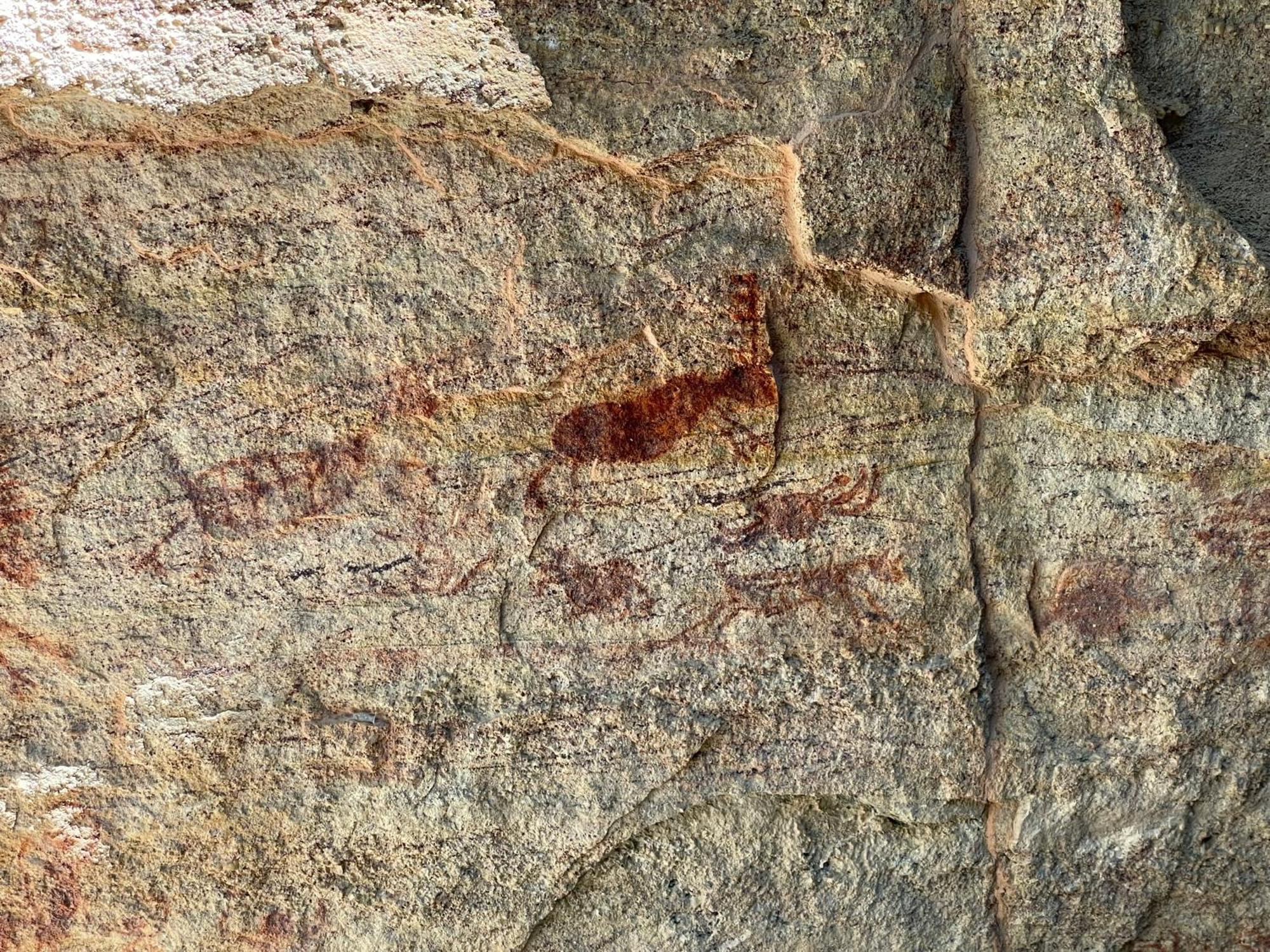 Casa Barreirinho Parque Nacional Serra Da Capivara Coronel Jose Dias 外观 照片