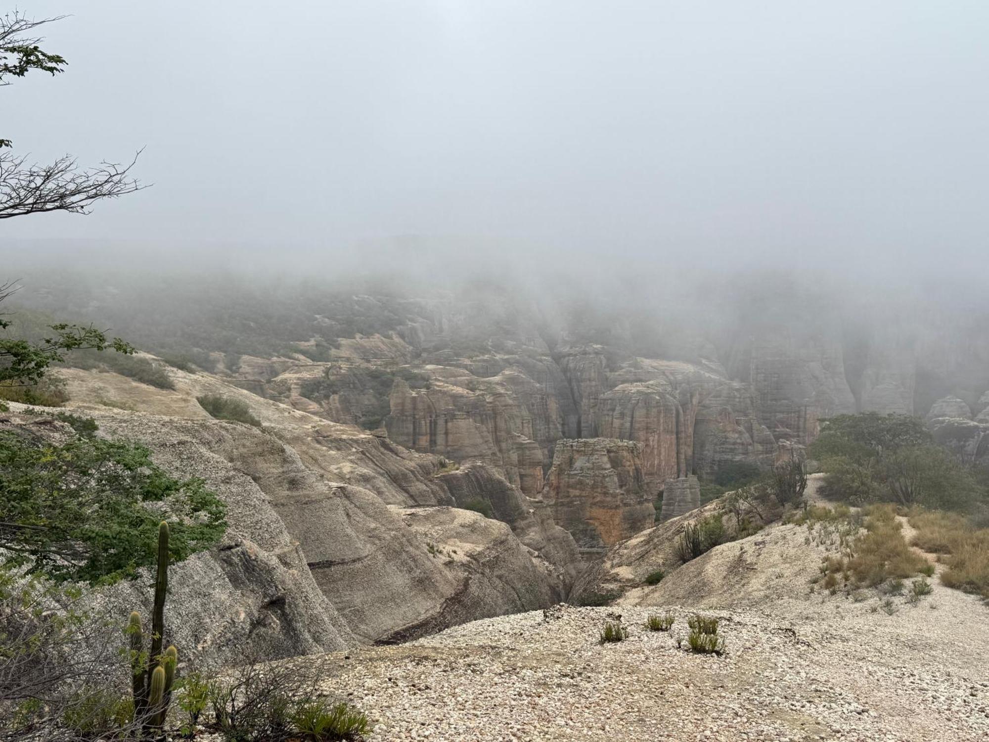 Casa Barreirinho Parque Nacional Serra Da Capivara Coronel Jose Dias 外观 照片