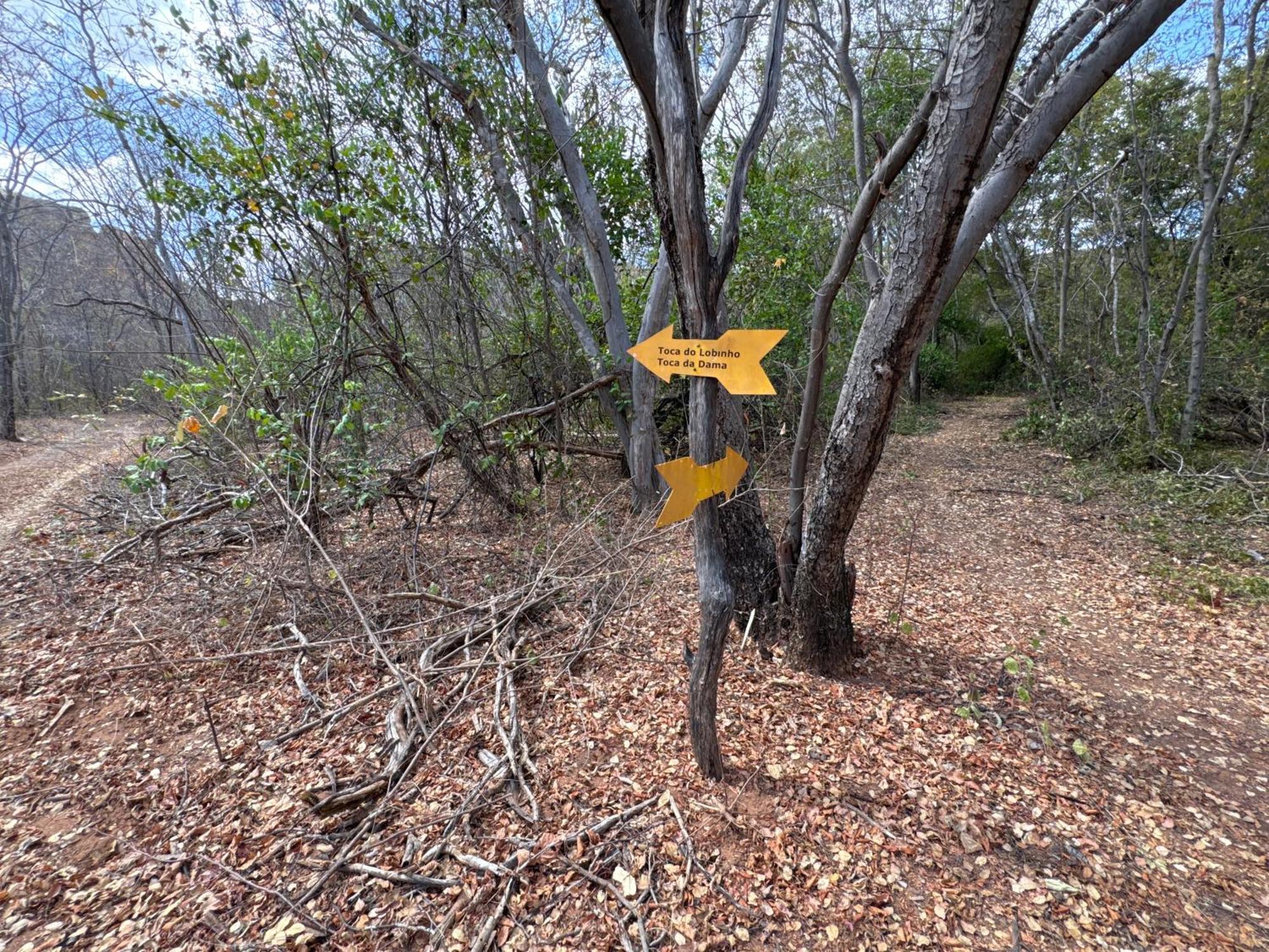 Casa Barreirinho Parque Nacional Serra Da Capivara Coronel Jose Dias 外观 照片