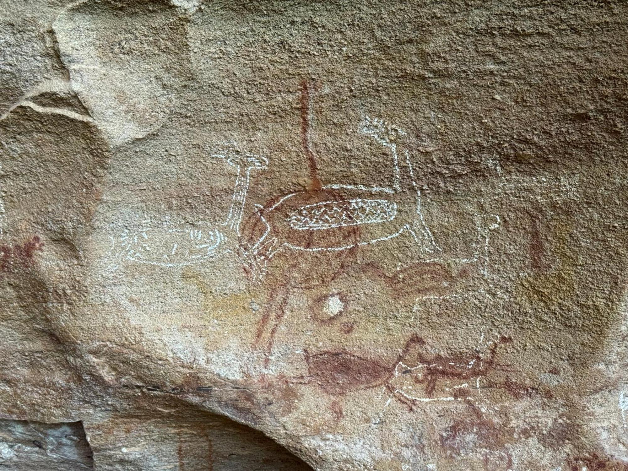 Casa Barreirinho Parque Nacional Serra Da Capivara Coronel Jose Dias 外观 照片
