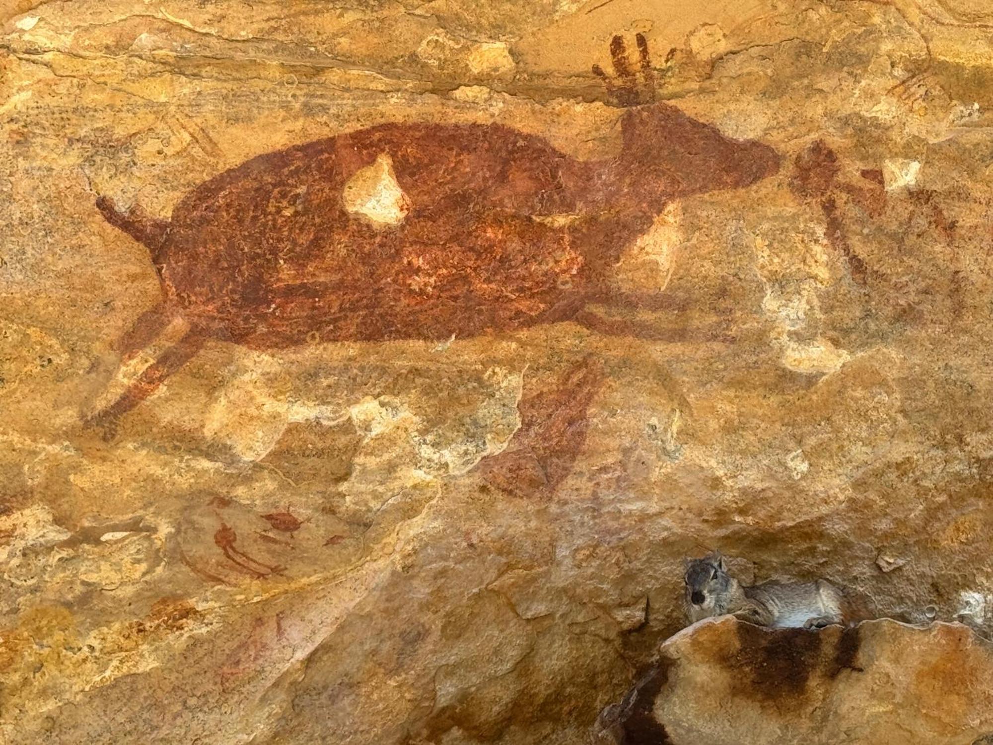 Casa Barreirinho Parque Nacional Serra Da Capivara Coronel Jose Dias 外观 照片
