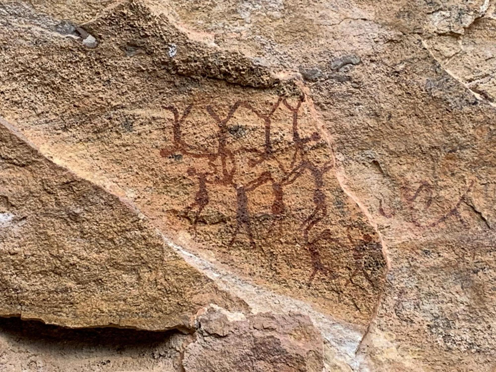 Casa Barreirinho Parque Nacional Serra Da Capivara Coronel Jose Dias 外观 照片